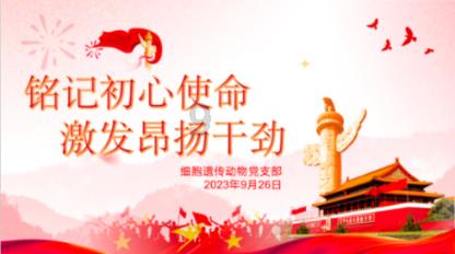 我的世界羽毛球